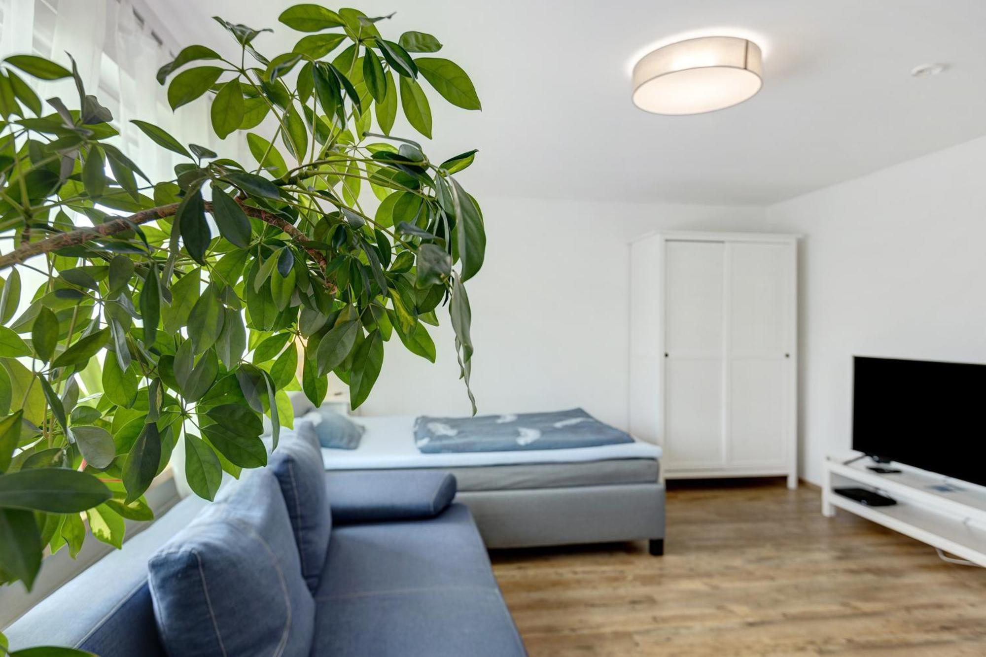 Ferienwohnung Pepe Donaueschingen Exteriér fotografie